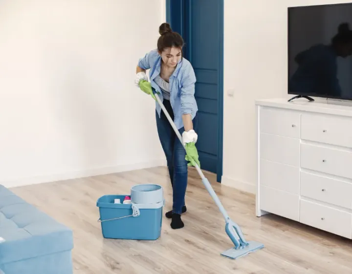 Femme de ménage Parnay
